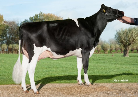 Delta Monique VG-86