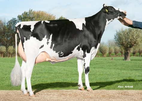 Delta Rainbow VG-85