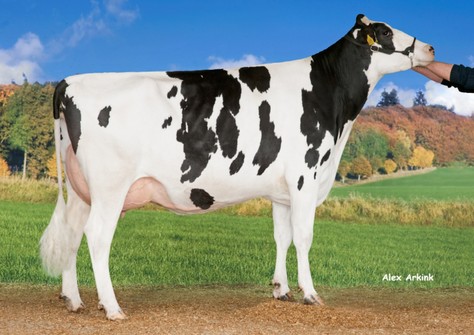 Delta Ria VG-88