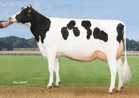 Delta Riana VG-89