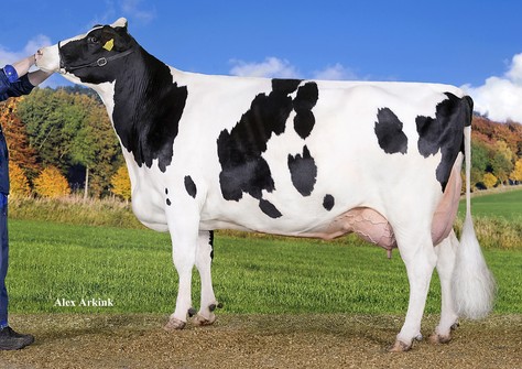 Delta Riant VG-87