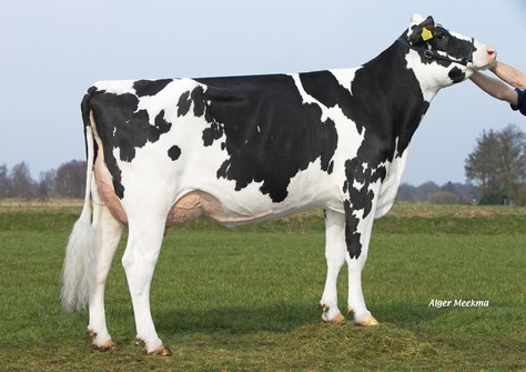 Delta Rietje VG-86