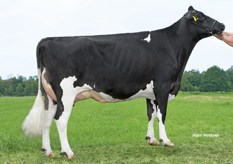 Delta Rietje 3 VG-88