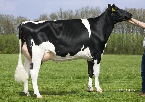 Delta Robyn VG-85