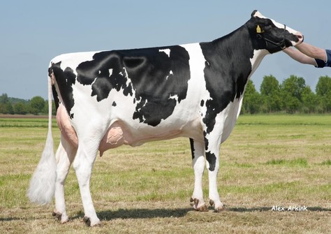 Delta Rora VG-87