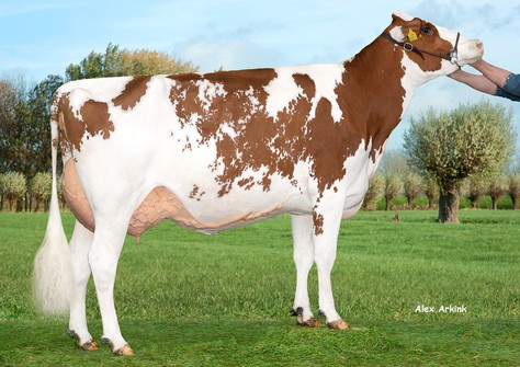 Delta Telstar G VG-86
