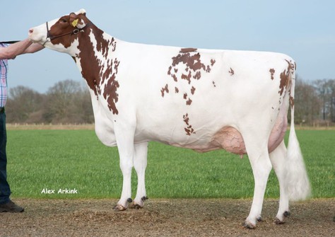 Delta Teuntje VG-86