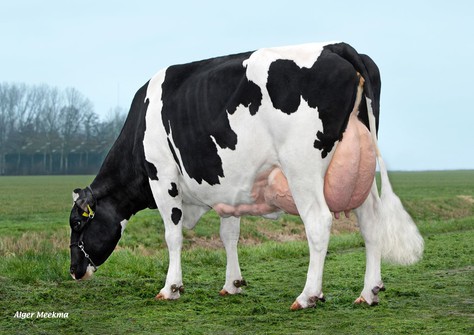 Delta Thilda VG-87