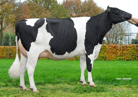 Delta Tracy VG-87