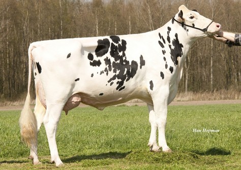 Destry Sproet VG-87