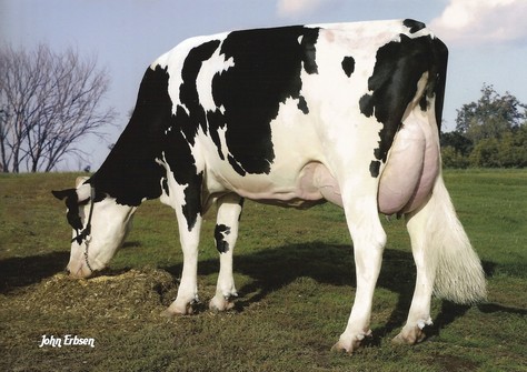 De-Su Oman 6121 VG-86