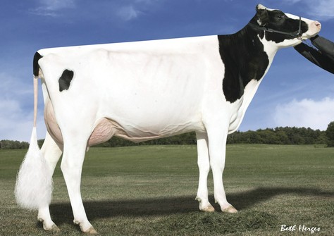 Des-Y-Gen Planet Silk EX-90