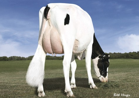 Des-Y-Gen Planet Silk EX-90