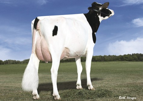 Des-Y-Gen Planet Silk EX-90