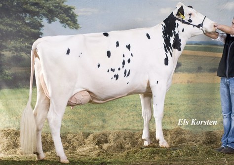 Diepenhoek Rozelle 25 VG-87