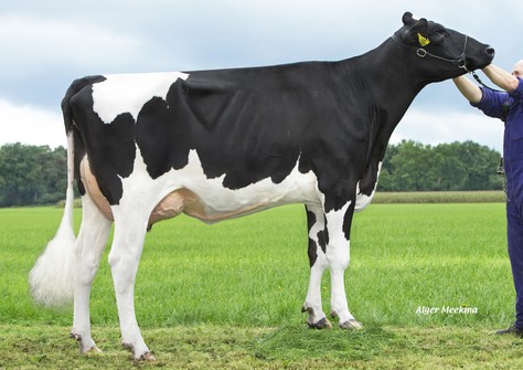 Diepenhoek Rozelle 65 VG-87