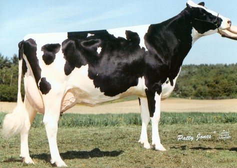 Dirigo-Leblanc Juno-ET EX-94 Dirigo-Leblanc Juno-ET EX-94