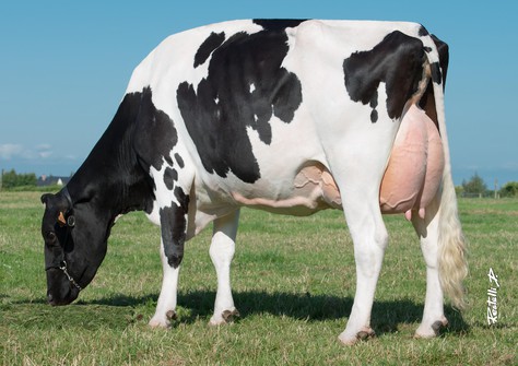 DKR Baviere VG-87