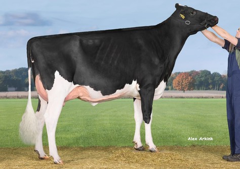 Doorman Esmeralda VG-86