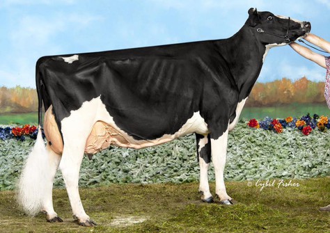 Double-D Mr Burns Jess RDC EX-94 Double-D Mr Burns Jess RDC EX-94