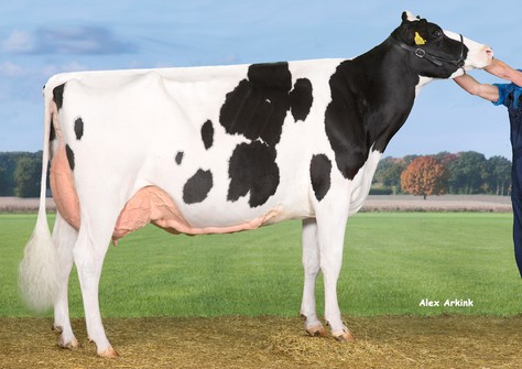 Drouner AJDH Cosmo 4e lact. EX-92