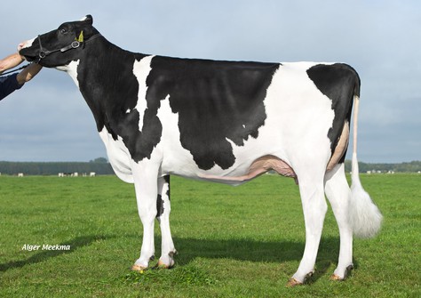 Drouner DH Aiko 1456 RDC VG-88