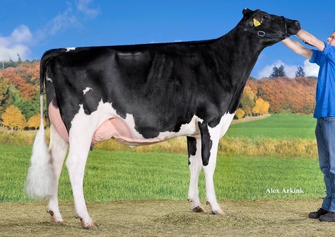 Drouner Froukje 1156 VG-89