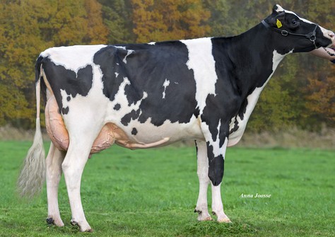 Drouner K&L Aiko 1557 RDC EX-90 Drouner K&L Aiko 1557 RDC EX-90