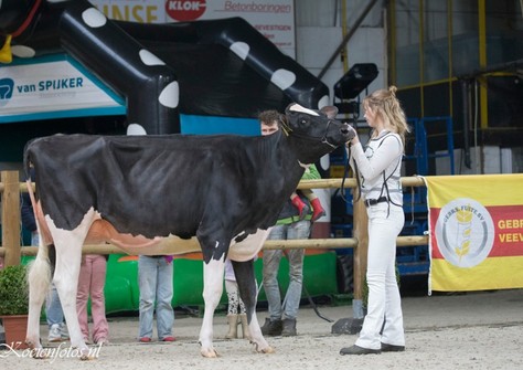 Drouner Sublima 2097 