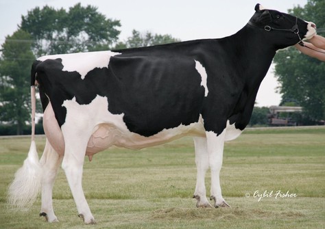 Scientific Debutante Rae EX-92
