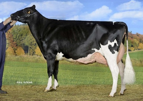 Carf Emeraude EX-91