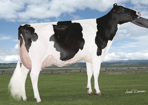 End-Road Profit 2203-ET EX-91