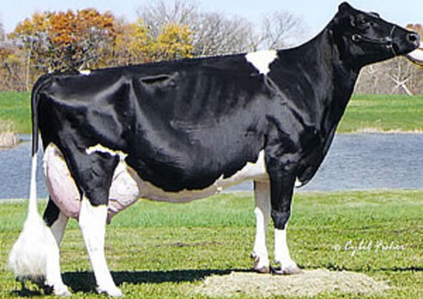 Ernest-Anthony Tyra EX-94