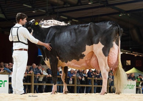 New Moore Esmeralda 38 HHH 2019  EX-93