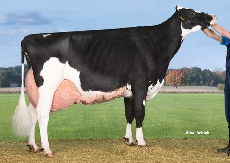 Esmeralda 38 2019 EX-93