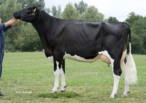 Etaregge Arroyo A Maribel RDC VG-87