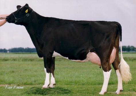 Big Etazon Blackstar VG-89