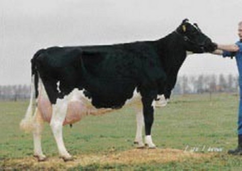 Etazon Hyde VG-86