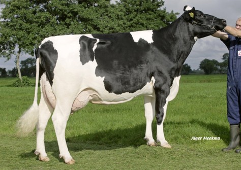 Etazon Renate VG-86