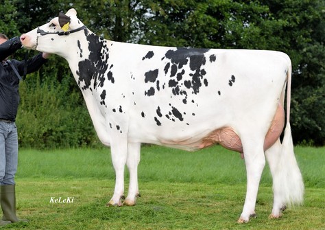 Extase VG-85