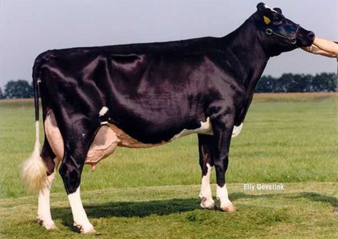 Delta Fabiola 2 VG-87 Delta Fabiola 2 VG-87