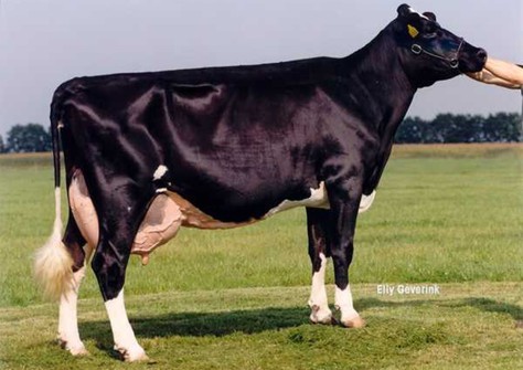 Delta Fabiola 2 VG-87