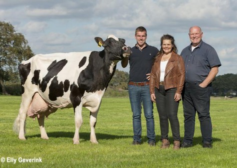 Big Betje 287 VG-87