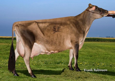 Faria Brothers Action Dean Smith EX-92, paternal granddam Lexington 