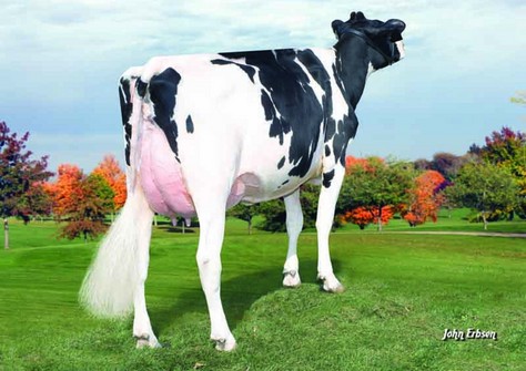 Farnear-Tbr Aset Abslute VG-87