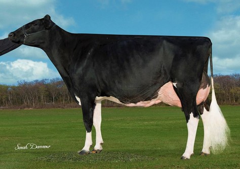 Farnear-TBR-BH Atwood Corona EX-92