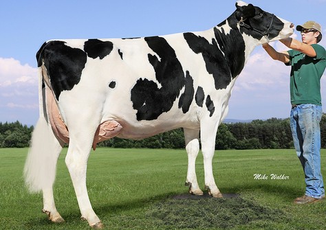 Farnear-TBR-BH Valour VG-88