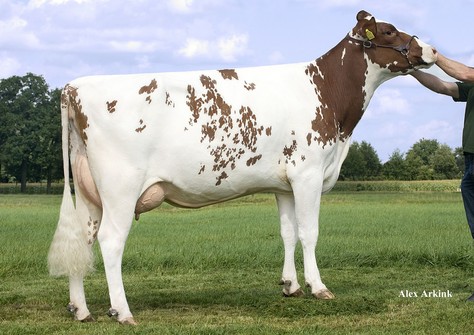 Sanderij Fidel Massia VG-87