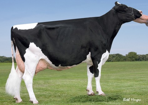 Fly-Higher O Man Stutter EX-90