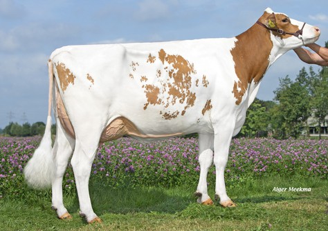 Poppe Fienchen 1270 VG-86